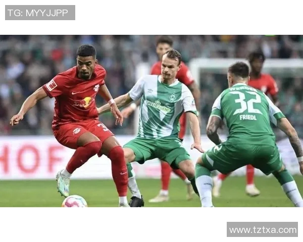 高校联赛最新积分榜WE战队以81分稳居第一名领跑全局